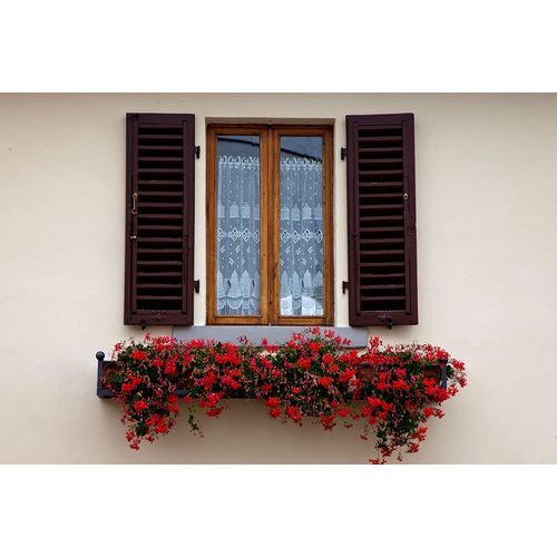 Eggers, Julie 아티스트의 Italy-Radda in Chianti Flower boxes with red geraniums below a window with shutters작품입니다.